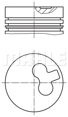 WILMINK GROUP Männät WG1201544